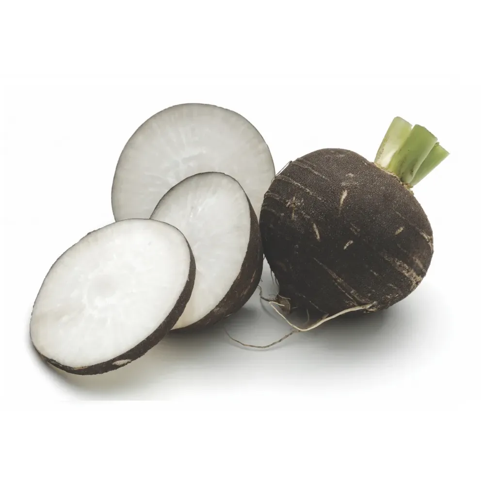 Редька черная