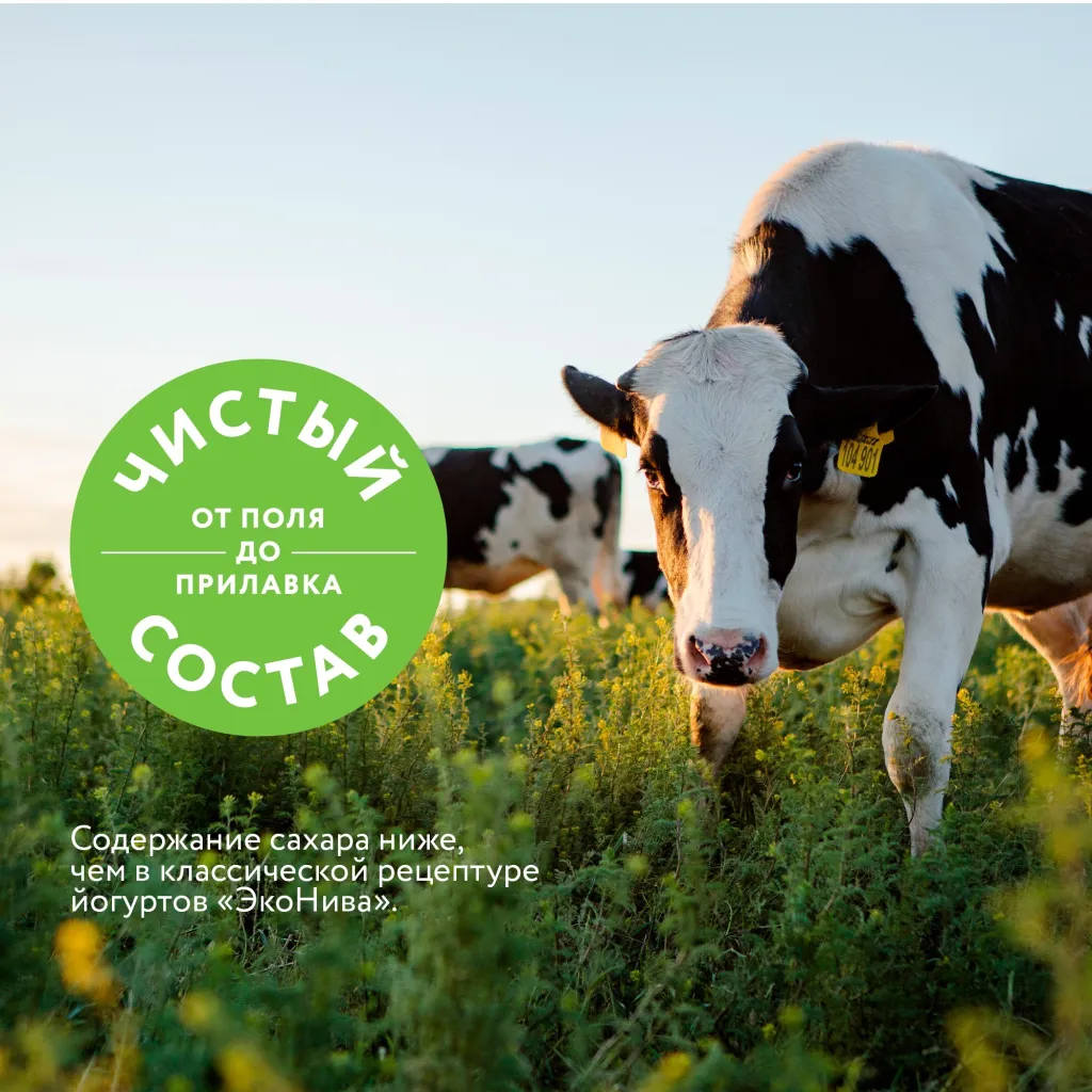 Йогуртный Эконива Фитнесс 2.5% клубника пэт/бут 300г