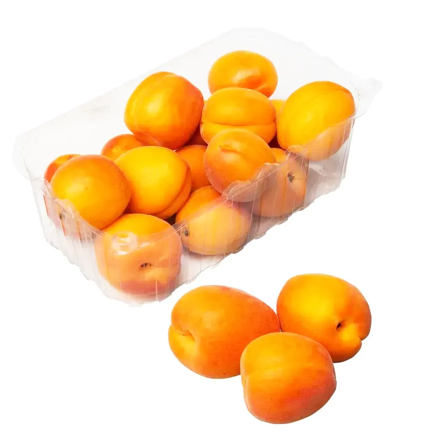 Абрикос в контейнере