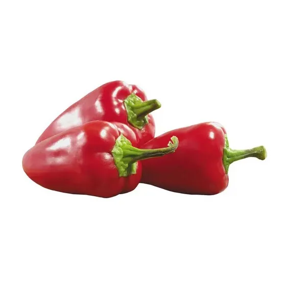 Перец Ракета