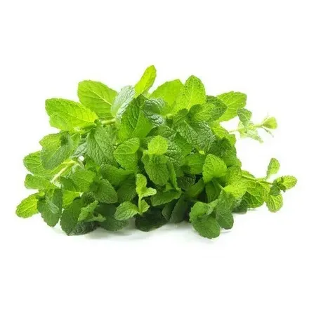 Мята Фреш фуд 50г