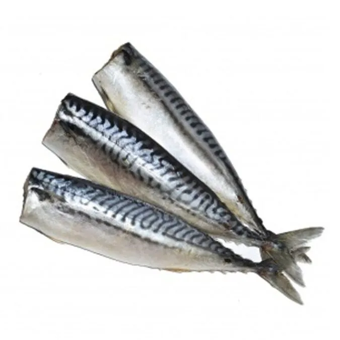 Скумбрия б/г заморож