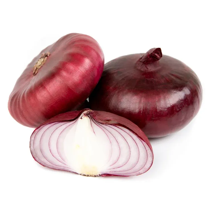 Лук ялтинский