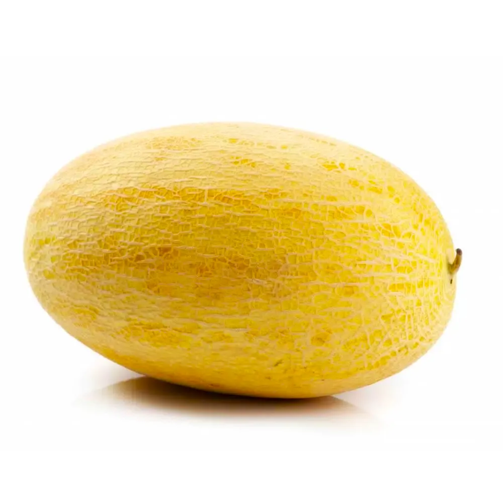 Дыня Узбекская