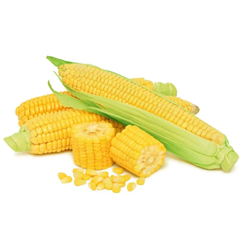 Кукуруза початок