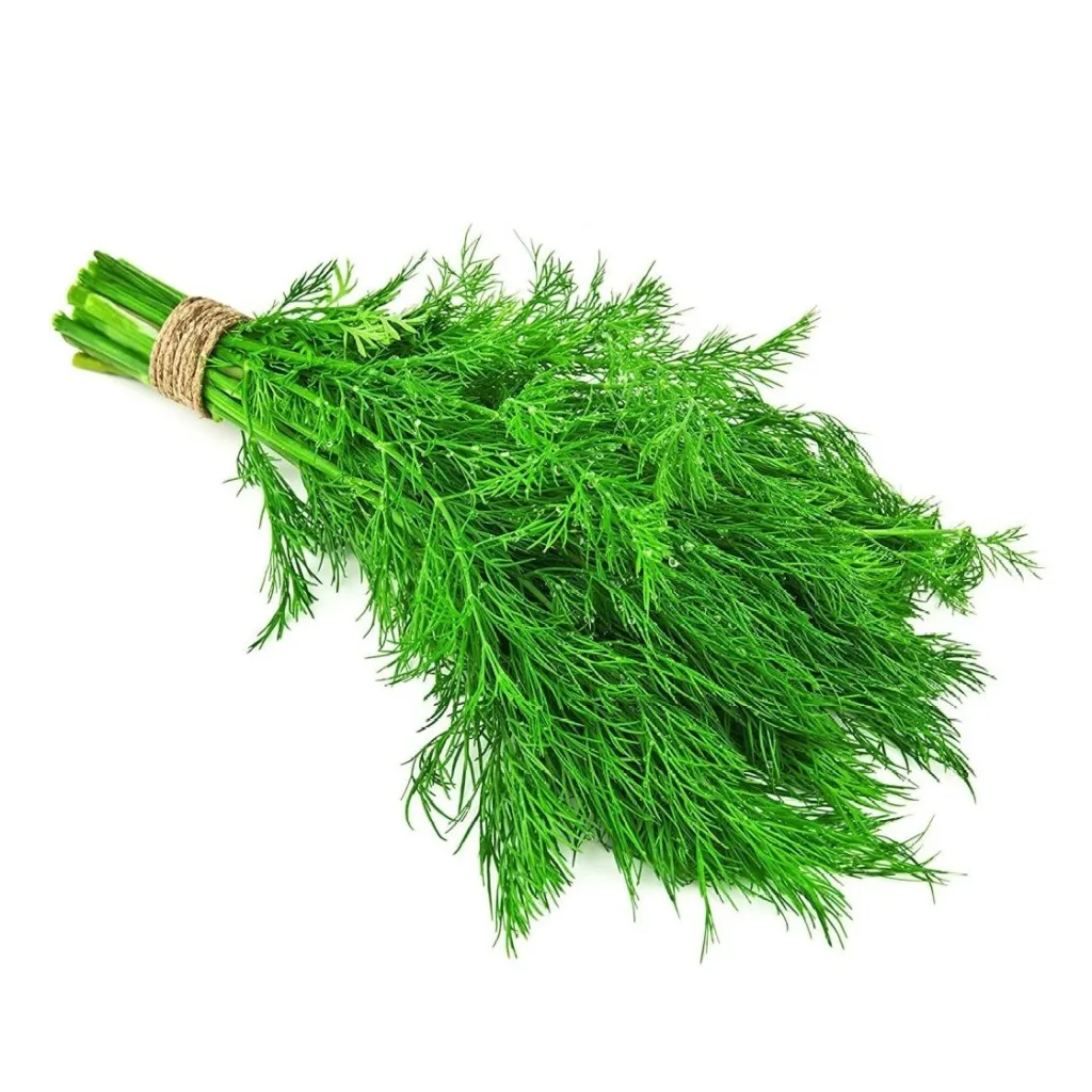 Укроп шт Фреш фуд