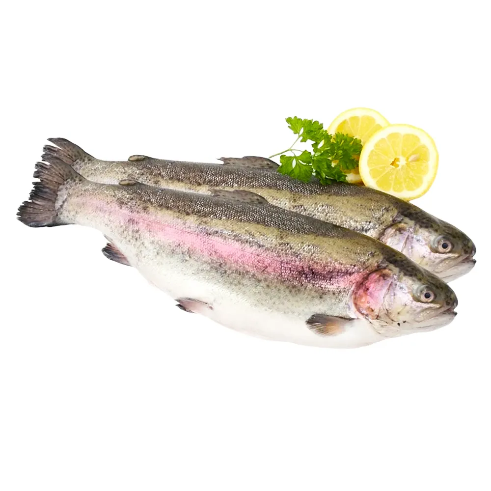 Форель радужная 200-300 заморож.