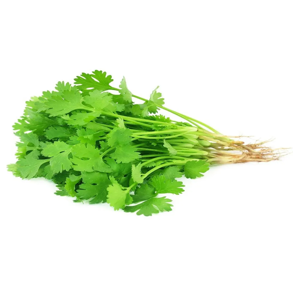 Кинза шт Фреш фуд