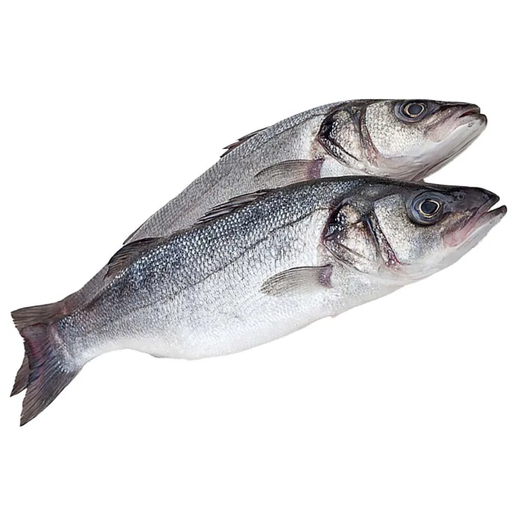 Сибас 300/400 замороженный