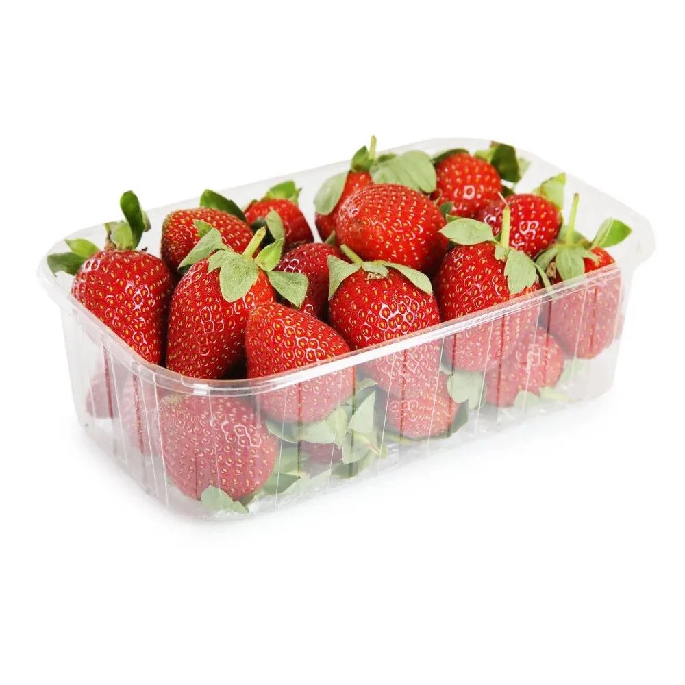 Клубника в контейнере