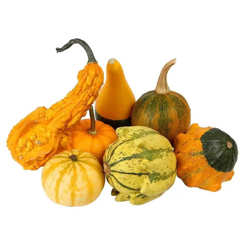 Тыква Витаминка