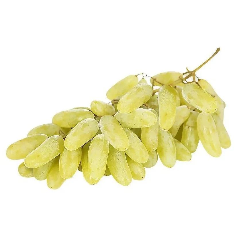 Виноград Дамские пальчики (Узбекский)