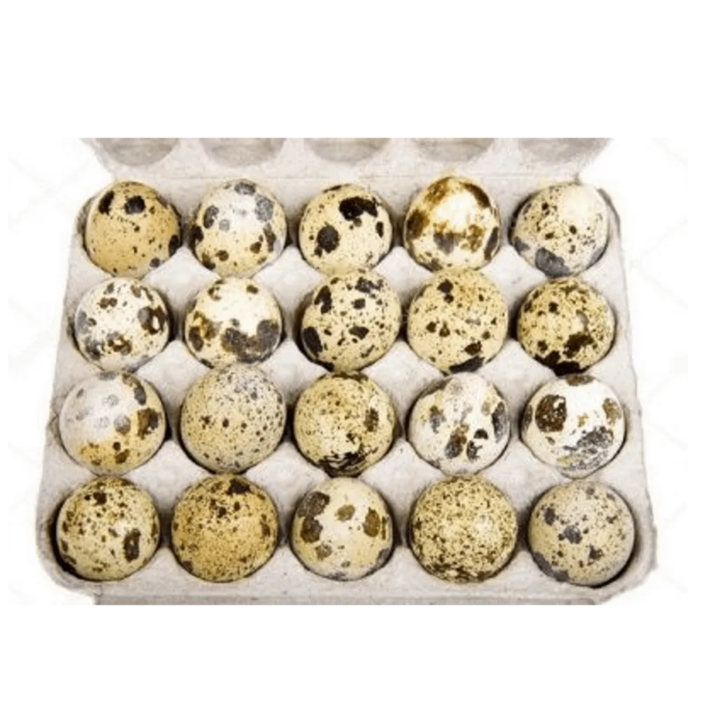 Яйцо перепелиное 20шт бум/уп