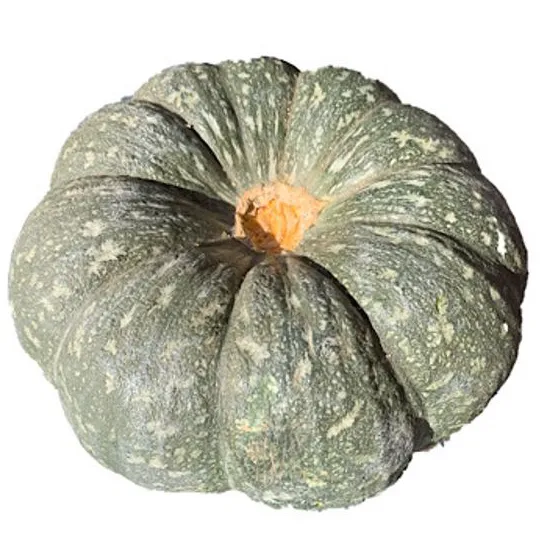 Тыква местная