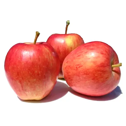 Яблоки Чемпион