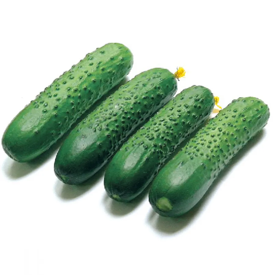 Огурцы Эстафета