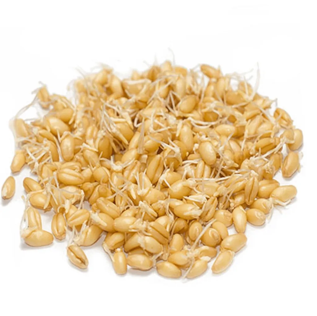 Проростки СитиФарм в ассортименте 150г