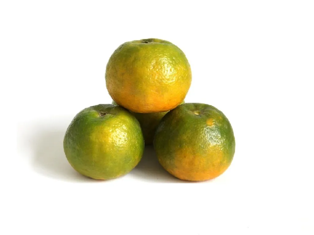 Мандарины Сатсума