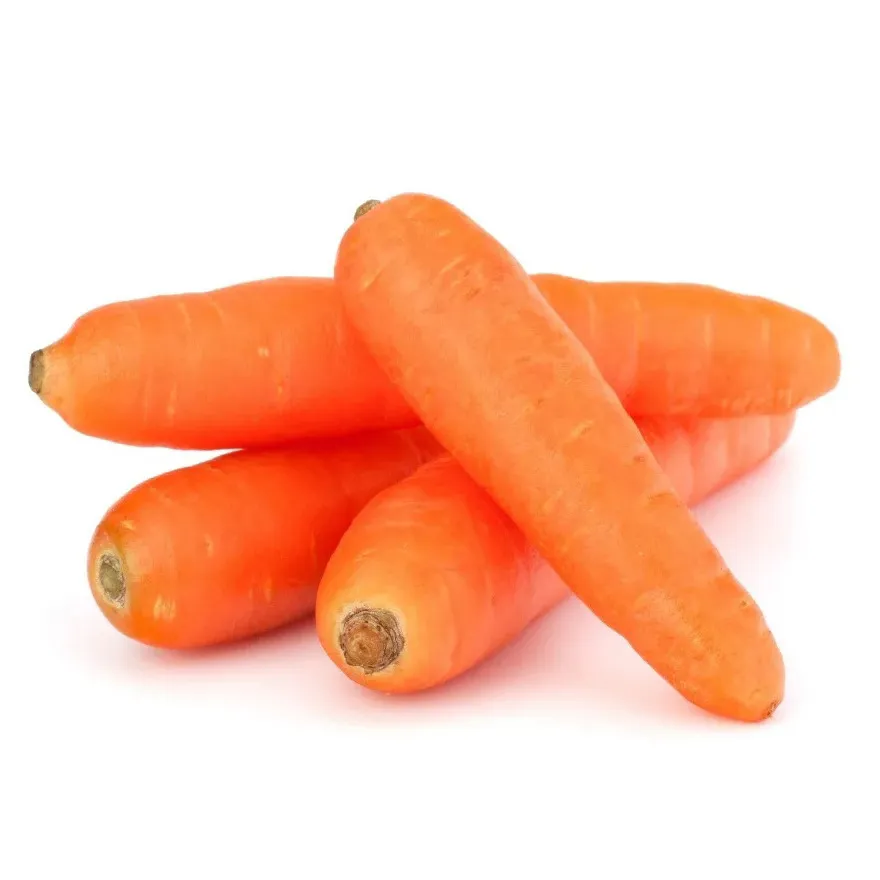 Морковь молодая