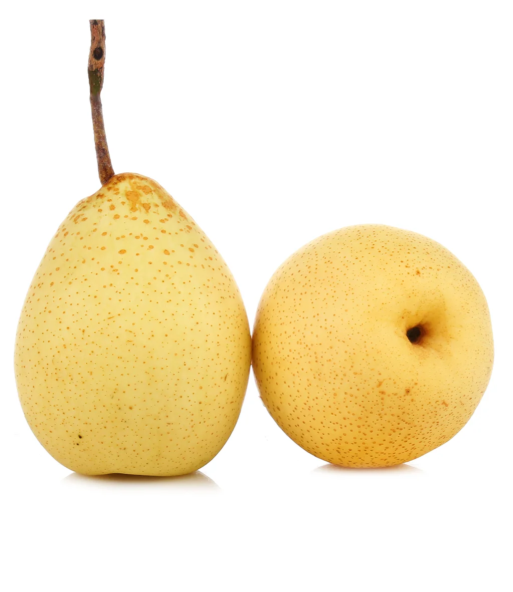 Груши Китайские