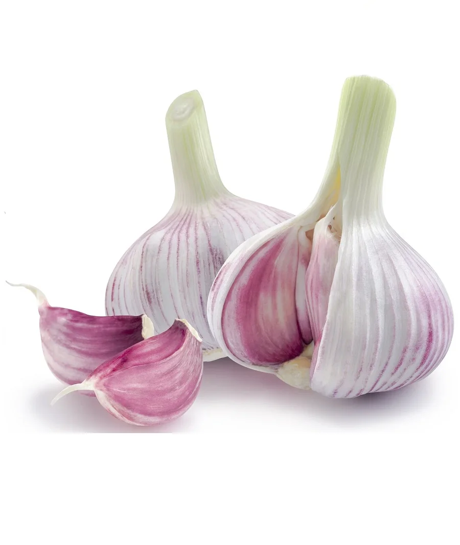 Чеснок импортный