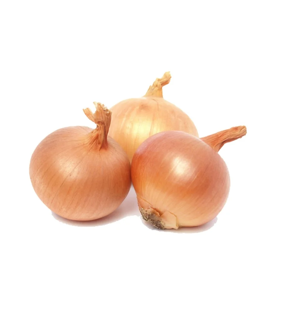 Лук репчатый