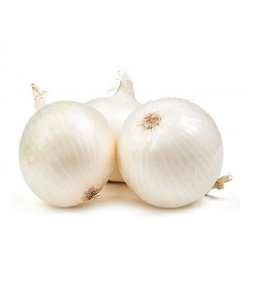 Лук репчатый белый импортный