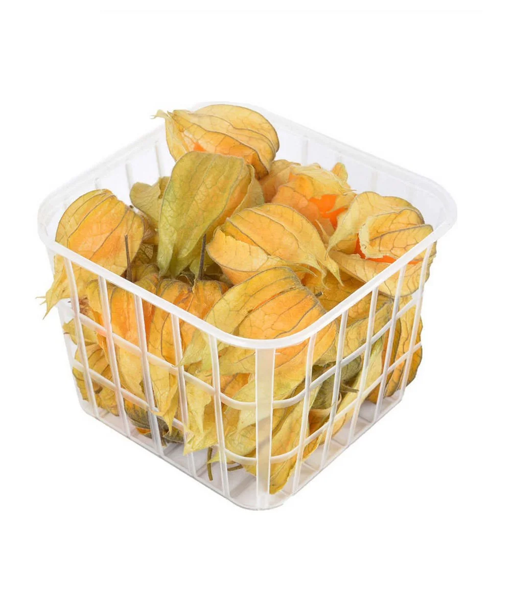 Физалис в контейнере