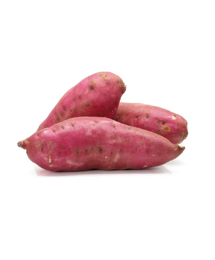 Картофель Батат