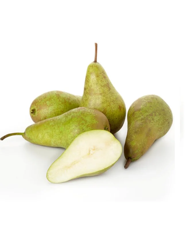 Груши Конференц