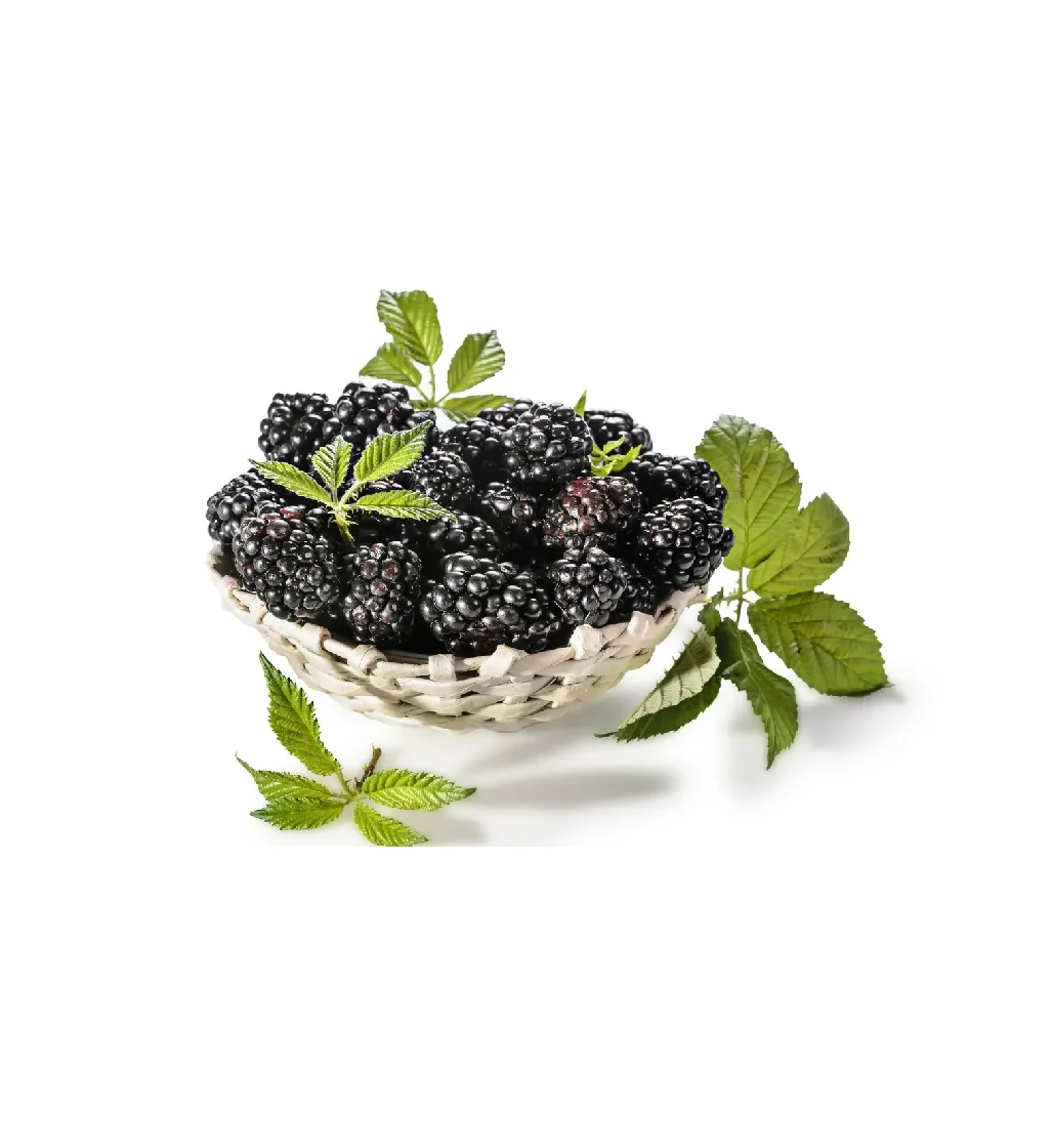 Ежевика в контейнере