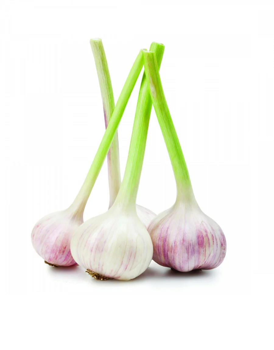 Чеснок молодой импортный