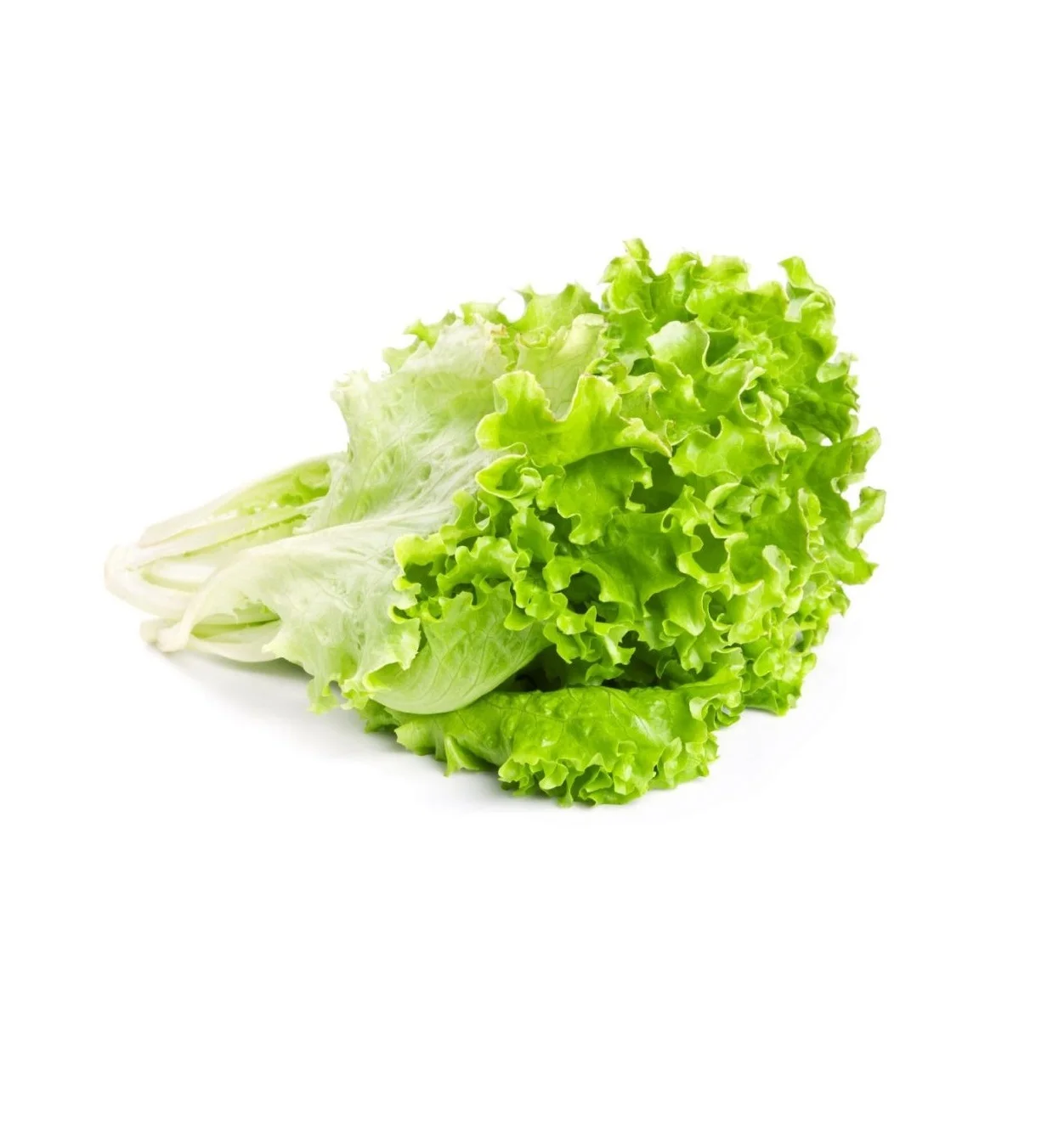 Листья салата шт