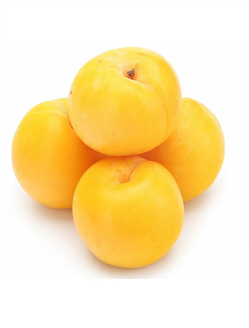 Слива желтая
