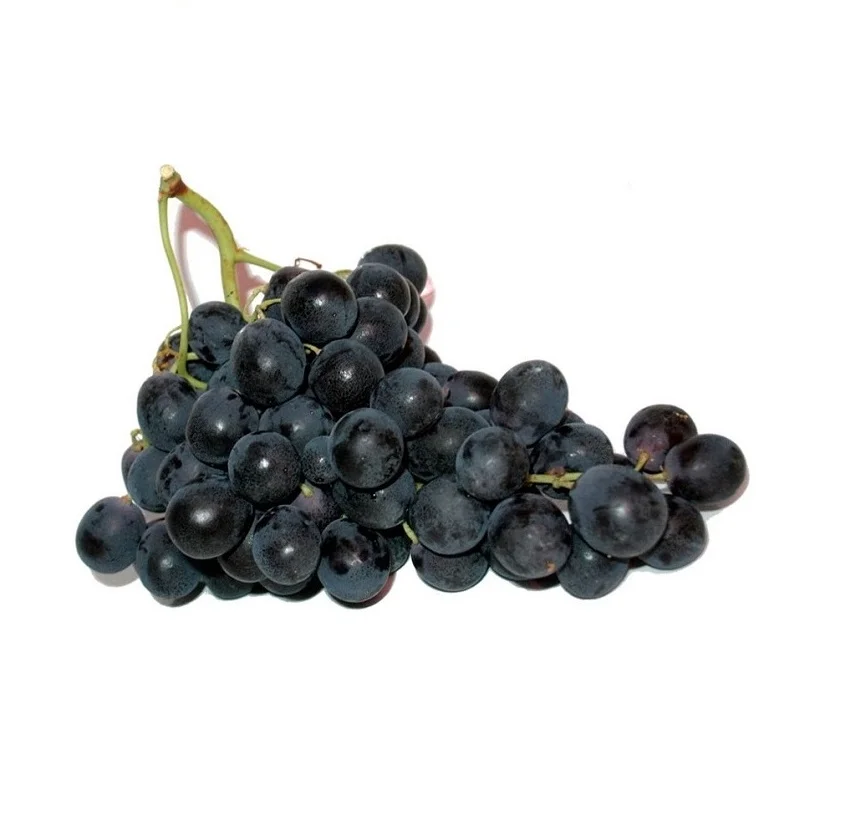 Виноград черный импортный