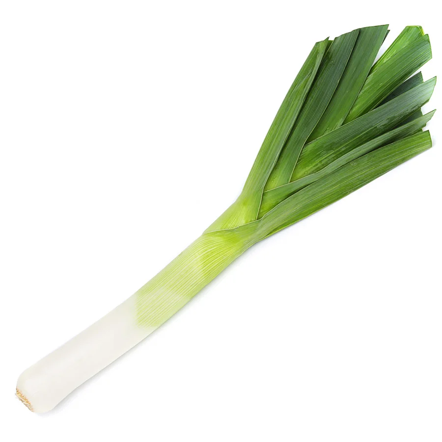 Лук порей